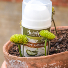 Swatch de MelleBonPlan : Crème Anti-Rides bio, NaturAloé