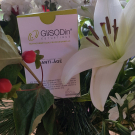 Swatch de Brigthom : GliSODin Anti-Âge de GliSODin, GliSODin