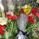 Swatch de Brigthom : Crème Régénérante, Terraké