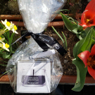 Swatch de Brigthom : Crème Régénérante, Terraké