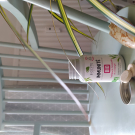 Swatch de malouetsesloups : Immunité Bio, Biocyte