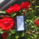 Swatch de Madu1304 : Sérum Botanique Booster Éclat Anti-Taches - Perfect Pisum, Saeve