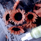 Swatch de loveby-31 : Concentré Purifiant Rééquilibrant, Condensé Paris