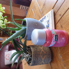 Swatch de sophie.frev : Sels de bain Fleurs de cerisier, Kneipp