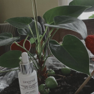 Swatch de Lycasluflux : Concentré éclaircissant teint parfait, Condensé Paris