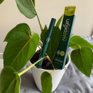 Swatch de Lycasluflux : MASCARA NATUREL, Natorigin