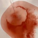 Swatch de dborah.care.beauty : Sels de bain Fleurs de cerisier, Kneipp