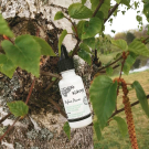 Swatch de Angeliquetesteuse : Sérum Botanique Booster Éclat Anti-Taches - Perfect Pisum, Saeve