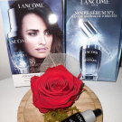 Swatch de BIJOUX1685 : Advanced Genifique, Lancôme