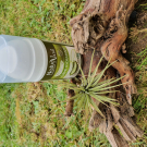 Swatch de Patlib : Crème Hydratante Visage Bio, NaturAloé