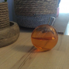 Swatch de Sabri33560 : Eau des Merveilles, Hermès