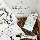 Swatch de Homesweetambre : Sérum Botanique Booster Éclat Anti-Taches - Perfect Pisum, Saeve