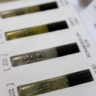 Swatch de NesliArs : COFFRET DECOUVERTE PARFUMS VIREVOLTE, VIREVOLTE