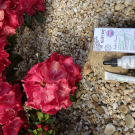 Swatch de robinflo49 : Sérum Botanique Booster Éclat Anti-Taches - Perfect Pisum, Saeve