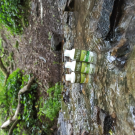 Swatch de Nolrag_sc : Duo Nettoyant Visage Bio, NaturAloé