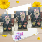 Swatch de Ninoupassions : Olive & moi, Olive Oil