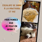 Swatch de Ninoupassions : Moutarde tandoori bio, Emile Noël