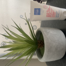 Swatch de Stef25 : AQUALISS MAINS - PIEDS, Eye Care Cosmetics