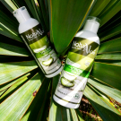 Swatch de Angeliquetesteuse : Duo Nettoyant Visage Bio, NaturAloé