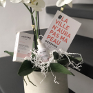 Swatch de Manuela93360 : Activateur d'Éclat Fortifiant Quotidien, Dermina