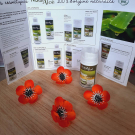 Swatch de Laetitia23 : Gel Propolis Purifiant Bio de NaturAloé, NaturAloé