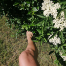 Swatch de NATBEAUTY : Gommage Corps Éclat, Nuhanciam