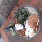 Swatch de VANA26 : Sérum Botanique Nuit Micro-Peel Peau Neuve de Saeve, Saeve