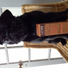 Swatch de audelav : Spray solaire SPF30, Cattier