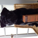 Swatch de audelav : Spray solaire SPF30, Cattier