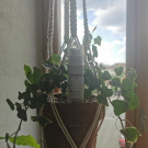 Swatch de Chmicha : Soin Dépigmentant, Dermina