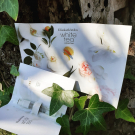 Swatch de Angeline Martine Kraus : Elizabeth Arden - White Tea - Eau de Toilette Femme, Elizabeth Arden