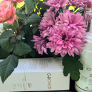 Swatch de Titanilla2003 : WASCHSCHAUM CHRONOS, Natura