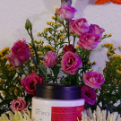 Swatch de Elena25 : REGENERIERENDE MASKE FÜR GESCHÄDIGTES HAAR LUMINA, Natura Brasil