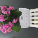 Swatch de christouf : COFFRET DECOUVERTE PARFUMS VIREVOLTE, VIREVOLTE