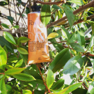 Swatch de die-paty : CASTANHA HANDCREME EKOS, Natura Brasil