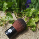 Swatch de Fehuline : Baby Buki Brush, Lily Lolo