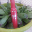 Swatch de choux200 : Mascara Volume Glamour Max Holidays - Bourjois, Bourjois