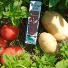 Swatch de Familytest33 : Huile vierge de noisette biologique, Le Moulin de mon Père