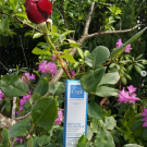 Swatch de Mygtesteuse : Mascara Volumateur, Eye Care Cosmetics