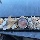 Swatch de barloulou : Blush & Highlighter BYS, MY Maquillage