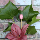 Swatch de peaudane : IN'Ouïe ; Cure -Oreilles écologique, Le Petit Carré Français