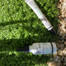 Swatch de robinflo49 : Sérum Botanique Booster Éclat Anti-Taches - Perfect Pisum, Saeve