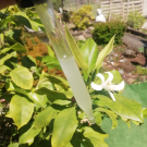 Swatch de @_m_1000_i_ : Sérum Botanique Nuit Micro-Peel Peau Neuve de Saeve, Saeve