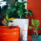 Swatch de Dalina19888 : CRÈME VISAGE RÉGÉNÉRANTE SOIN NUIT, Mademoiselle Agathe