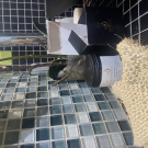 Swatch de kiki75013 : Savon noir à l'huile d'olive et eucalyptus, Nectarome