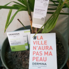 Swatch de nadmoi : Soin Dépigmentant, Dermina