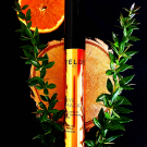 Swatch de Giulia78 : EYE MAGIC LIFT, Veld's