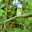 Swatch de Nana35 : Gel Propolis Purifiant Bio de NaturAloé, NaturAloé