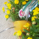 Swatch de mimosa360 : Lot de 4 pailles en Inox avec son pochon 100% fabriqué en Français, Le Petit Carré Français