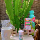 Swatch de Esprit d'Azur : Microbiote Minceur, Biocyte